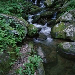 Meet your Posher, Nicholas